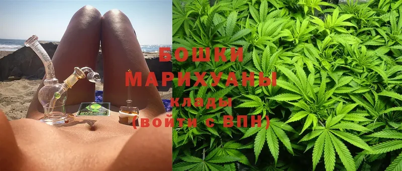 где купить наркоту  Гвардейск  Канабис White Widow 